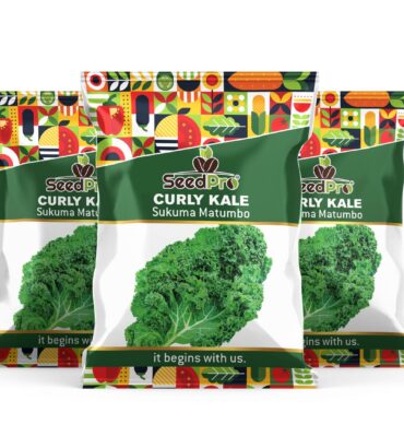 Curly Kale Sukuma Matumbo