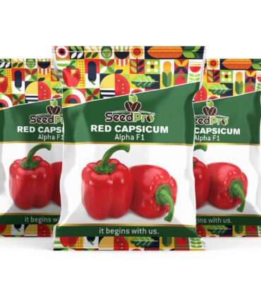 Red Capsicum Alpha F1