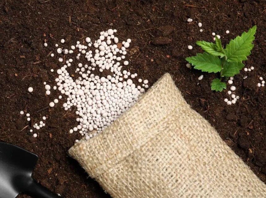 From Feeding Crops to Feeding the Soil – A Smarter Way to Fertilize