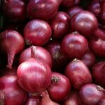 Onions Require Which Nutrients? A Practical Feeding Guide for High Yields