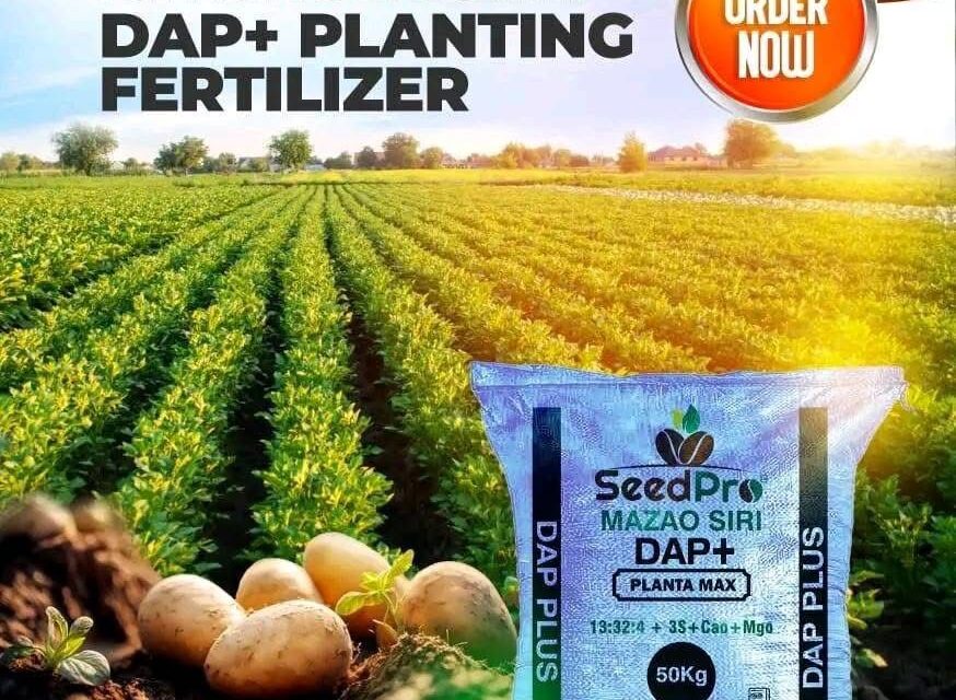 Why DAP Plus Is Not Ordinary DAP – The Future of Planting Fertilizers