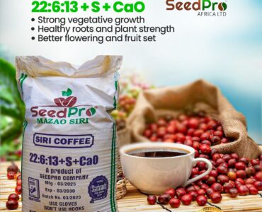 COFFEE FARMING GUIDE USING SIRI COFFEE 22:6:13 + S + CaO FOR HIGHER YIELDS