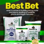 Building Strong Roots and Healthier Crops with SeedPro NPK 17:17:17 and CalciPro Granulated Lime