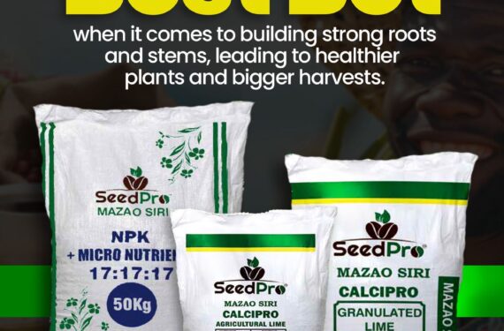 Building Strong Roots and Healthier Crops with SeedPro NPK 17:17:17 and CalciPro Granulated Lime