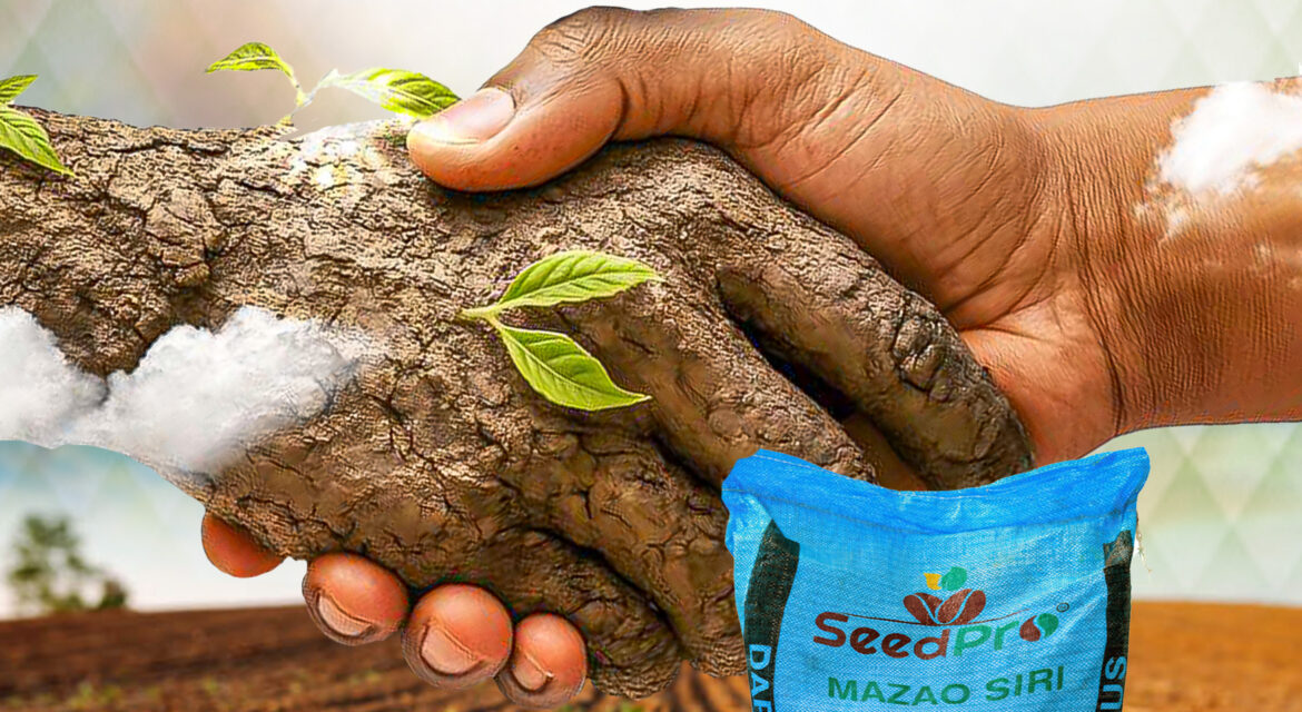 How to Choose the Right Fertilizer for Your Crops and Soil Ground Imetii: Unlocking Soil Potential with Seedpro DAP+