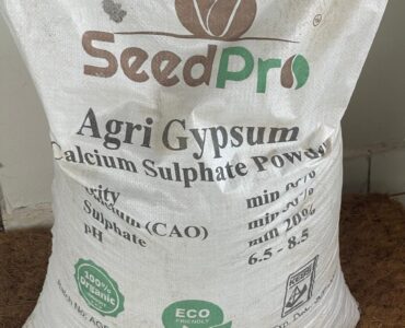 What Is Agricultural Gypsum? A Complete Guide for Farmers