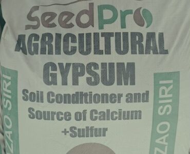 Agricultural Gypsum vs Construction Gypsum: What Kenyan Farmers Need to Know