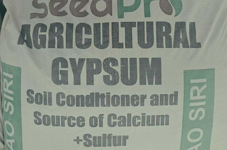 Agricultural Gypsum vs Construction Gypsum: What Kenyan Farmers Need to Know