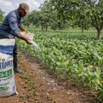 Organo-Mineral Fertilizer: A Complete Guide for Healthier Soil and Higher Crop Yields