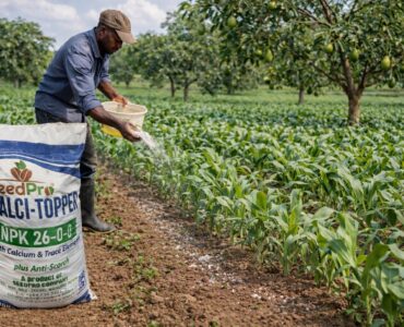 Organo-Mineral Fertilizer: A Complete Guide for Healthier Soil and Higher Crop Yields