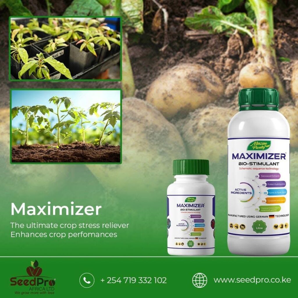 Bio Stimulants in Agriculture: How Maximizer Bio-Stimulant Improves Crop Growth, Root Development, and Yield