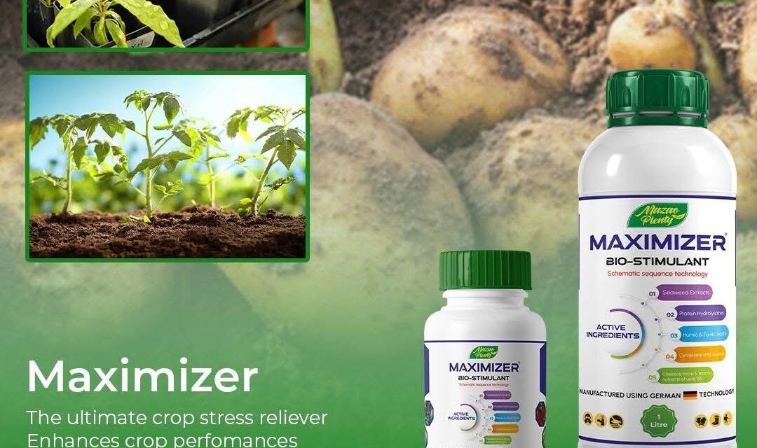 Bio Stimulants in Agriculture: How Maximizer Bio-Stimulant Improves Crop Growth, Root Development, and Yield