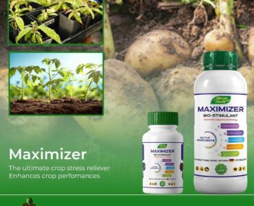 Bio Stimulants in Agriculture: How Maximizer Bio-Stimulant Improves Crop Growth, Root Development, and Yield