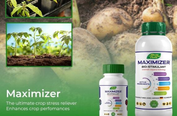Bio Stimulants in Agriculture: How Maximizer Bio-Stimulant Improves Crop Growth, Root Development, and Yield