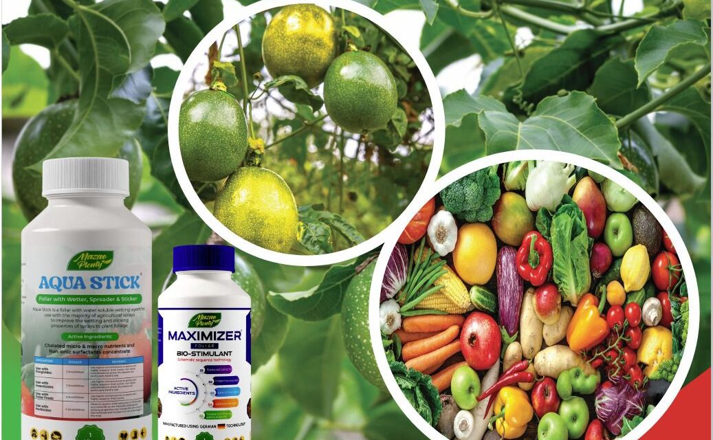 Biostimulants in Agriculture: How They Improve Crop Growth, Root Development, and Farm Productivity