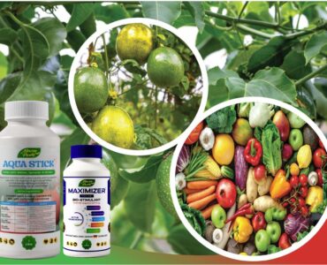 Biostimulants in Agriculture: How They Improve Crop Growth, Root Development, and Farm Productivity