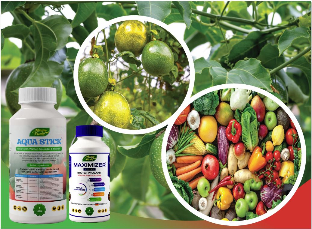 Biostimulants in Agriculture: How They Improve Crop Growth, Root ...