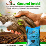 Organo Mineral Fertilizer Kenya: Why SeedPro Is the Smart Choice for Modern Farmers
