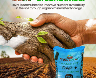Organo Mineral Fertilizer Kenya: Why SeedPro Is the Smart Choice for Modern Farmers
