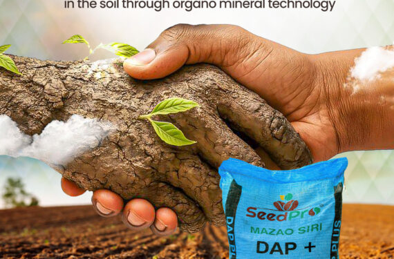 Organo Mineral Fertilizer Kenya: Why SeedPro Is the Smart Choice for Modern Farmers