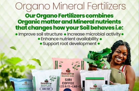 Best Organo Mineral Fertilizer Kenya: A Practical Guide for Farmers Who Want Results