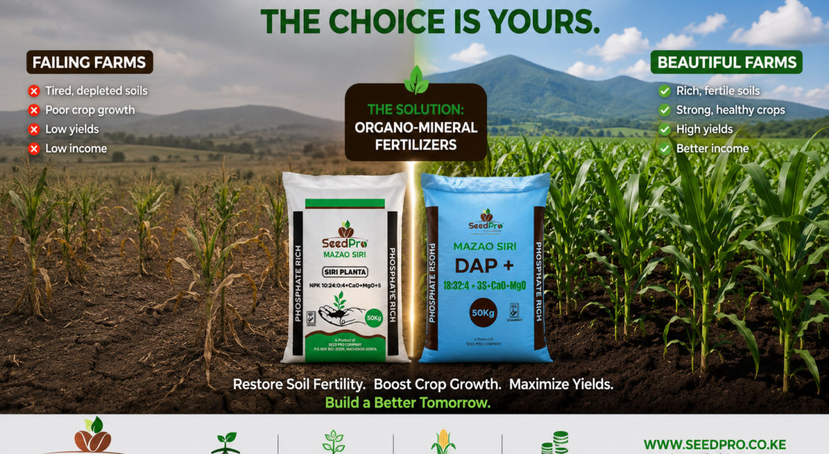 Why Kenyan Soils Are Tired And How Organo-Mineral Fertilizers Restore Fertility