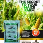 THE SECRET TO A HIGH-YIELD MAIZE FARM STARTS AT PLANTING