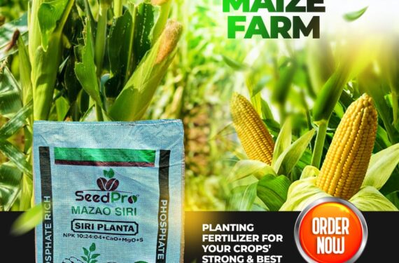 THE SECRET TO A HIGH-YIELD MAIZE FARM STARTS AT PLANTING