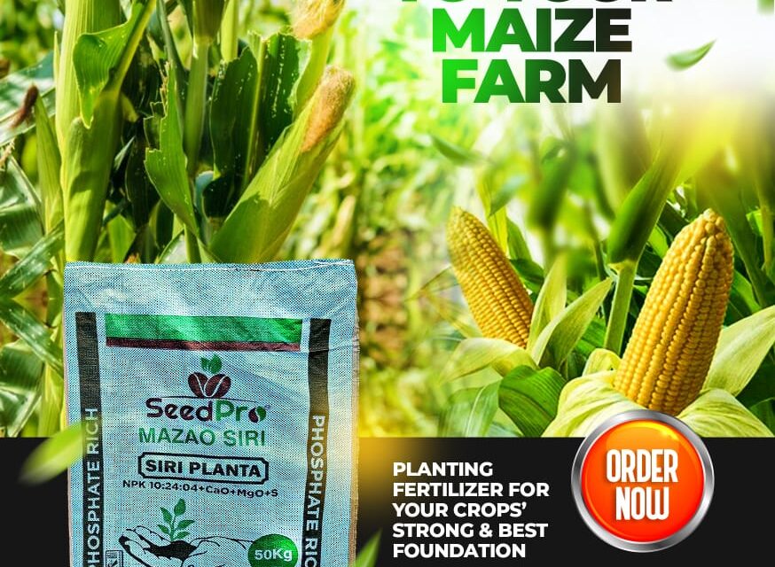 THE SECRET TO A HIGH-YIELD MAIZE FARM STARTS AT PLANTING