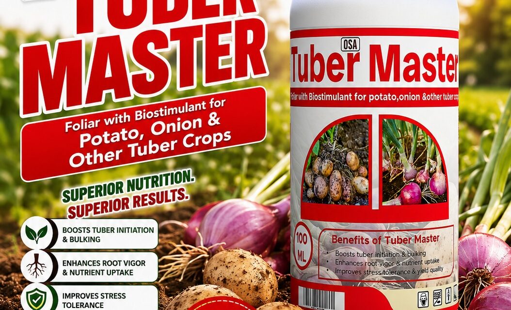 Best Foliar Fertilizer for Potatoes and Onions in Kenya
