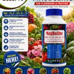 Best Foliar Fertilizer for Flowering and Fruiting Crops in Kenya