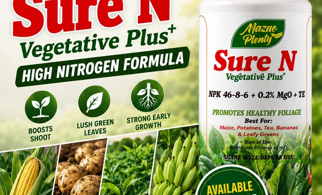 Sure N Vegetative Plus+: The Best High Nitrogen Fertilizer for Maize, Potatoes, Bananas and Vegetables in Kenya