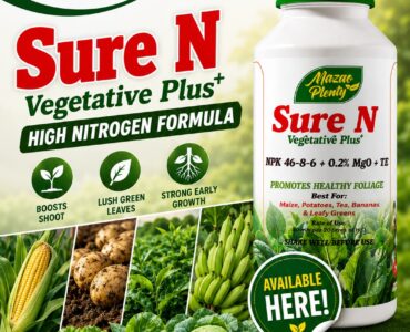 Sure N Vegetative Plus+: The Best High Nitrogen Fertilizer for Maize, Potatoes, Bananas and Vegetables in Kenya