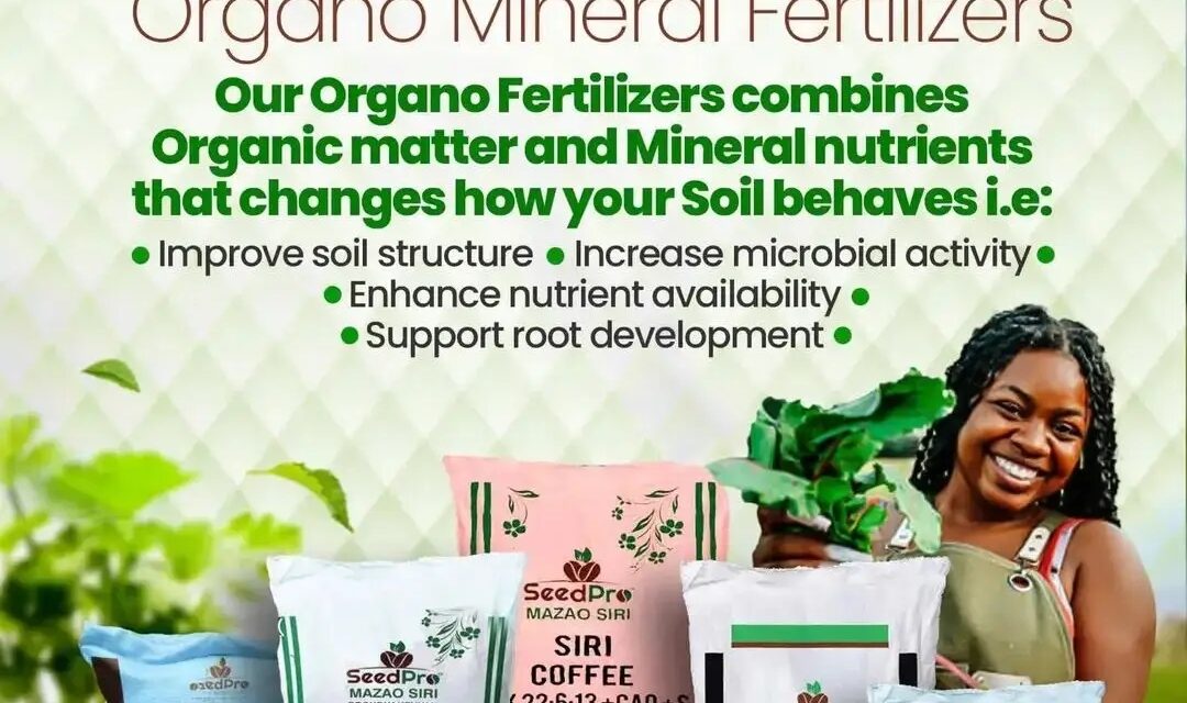 Best Fertilizers in Kenya for Maximum Crop Yields: Why SeedPro Organo-Mineral Fertilizers Are Transforming Modern Farming