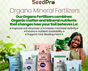 Best Fertilizers in Kenya for Maximum Crop Yields: Why SeedPro Organo-Mineral Fertilizers Are Transforming Modern Farming