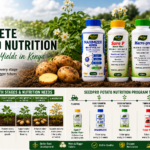 Complete Potato Nutrition Program in Kenya: How to Increase Potato Yields and Profits