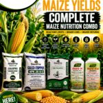 Complete Maize Nutrition Program in Kenya: The Secret to Higher Yields, Bigger Cobs, and Better Profits