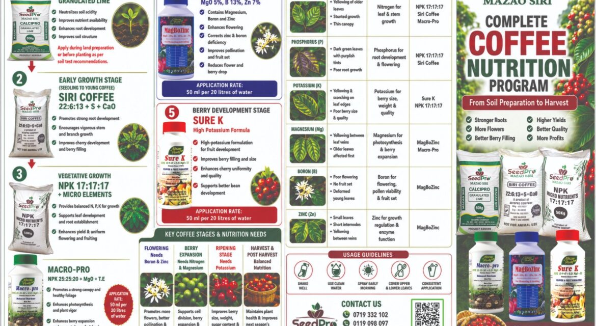 Complete Coffee Nutrition Guide in Kenya: Best Fertilizer Program for Higher Yields, Bigger Berries and More Profit