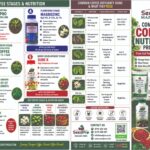 Complete Coffee Nutrition Guide in Kenya: Best Fertilizer Program for Higher Yields, Bigger Berries and More Profit
