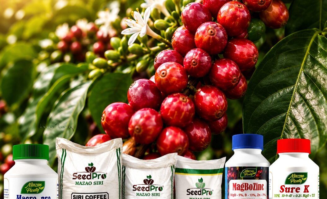 Best Coffee Fertilizer in Kenya: How to Increase Coffee Yield and Bean Quality