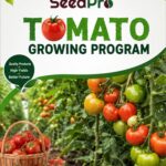 Tomato Growing Program in Kenya: A Complete Guide to Producing High Quality Tomatoes with SeedPro Nutrition Program