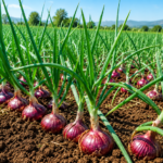 Complete Onion Farming Guide in Kenya (2026): From Planting to Harvest