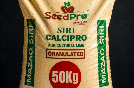 How to Correct Soil Acidity in Kenya Using Agricultural Lime