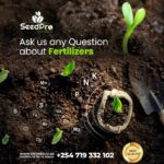What Is an Organo-Mineral Fertilizer? And Why It’s the Future of Farming in Kenya