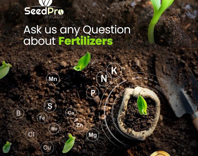 What Is an Organo-Mineral Fertilizer? And Why It’s the Future of Farming in Kenya