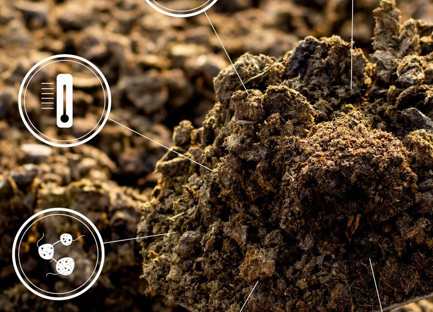 Unlocking Hidden Wealth: How Organo-Mineral Fertilizers Release Locked Soil Nutrients