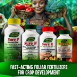 Understanding Foliar Feeds: Boosting Crop Growth During Dry Spells